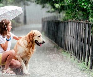 16-Tage-Trend: Wechselhafte Hundstage – zwischen Hitze, Abkühlung und Gewittern
