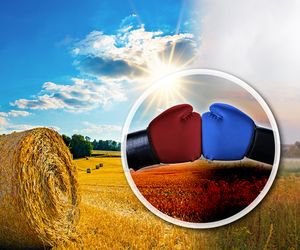 Wetter 16 Tage: Schlagabtausch zwischen Spätsommer und Frühherbst