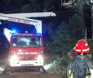 Unwetter an der Adria: Sturm richtet massive Schäden in Rimini und Umgebung an