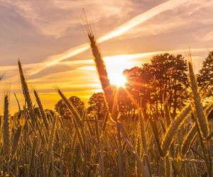 16-Tage-Wetter: Wie viel Spätsommer ist jetzt noch drin?