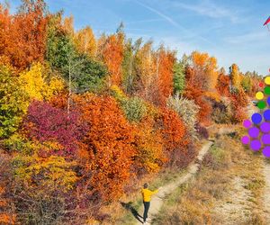 Stürme, Frost und Herbstblues: Meteorologe gibt Oktoberprognose