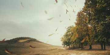In der dritten Herbstwoche wird es im Norden Deutschlands windig.