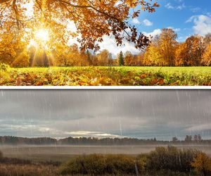 Wetter 16 Tage : Goldener Oktober vs. Schmuddelwetter