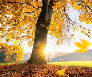 Goldener Oktoberstart mit viel Sonne -  Das Wetter in 60 Sekunden