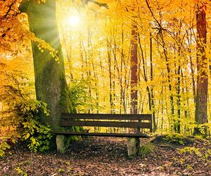 16-Tage-Wetter: Grauer Regen oder goldener Oktober?