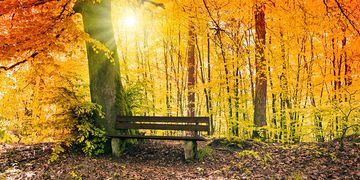 Wie viel Sonne können wir im Oktober genießen?