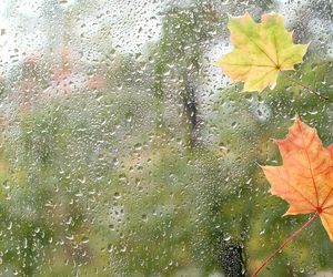 16-Tage-Wettertrend für Deutschland: Kein Glück mit gutem Wetter?
