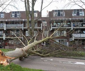 Sturmtief im Anmarsch! Ab Donnerstag drohen Orkanböen - auch Schnee, Gewitter und 21 Grad möglich