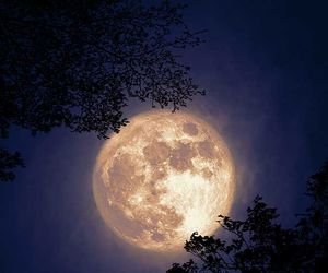 Astro-Highlights im November: Sternschnuppen und größter Vollmond des Jahres