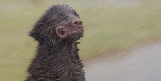 Video Wetter 16 Tage: Nasses und stürmisches Wetter beendet den Oktober