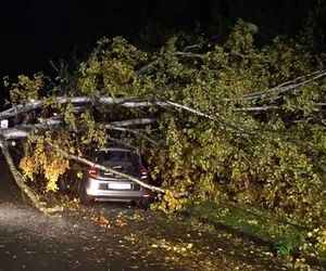 Sturm JOSHUA fegt über Deutschland: Bilder der Schäden und Auswirkungen
