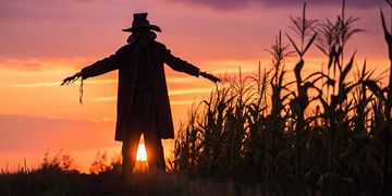 Das Wetter am Gruseltag wird wenig gruselig mit viel Sonne.