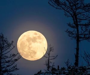 Supermond - Wann und wo ihr ihn heute am besten seht