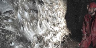 Rund 110.000 Spinnen! Womöglich größtes Spinnennetz der Welt entdeckt