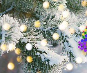 Erwarten uns weiße Weihnachten? Meteorologe gibt Dezemberprognose