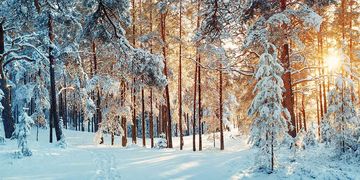 Polarwirbel, Schnee, Langfristmodelle: Alles zum Wetter im Dezember