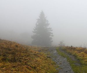 Kein Winterwetter in Sicht: Mild, grau und wechselhaft durch diese Woche