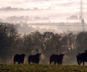 Wetter morgen am Dienstag: Eisige Kaltluft bestimmt das Weihnachtswetter