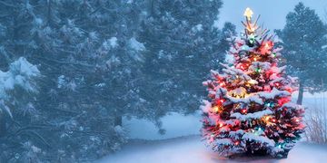 Wo Heiligabend Schnee fällt - Das Wetter in 60 Sekunden