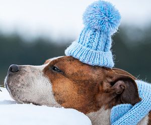 16-Tage-Wettertrend: Kann der Winter bis in das Flachland kommen?