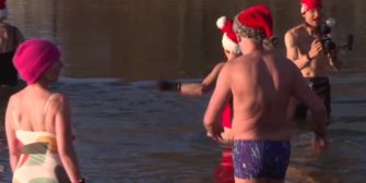 Eisbaden zu Weihnachten: Berliner Seehunde trotzen dem Frost