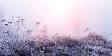 Wo Nebel am Sonntag der Sonne keine Chance lässt, wird es meist frostig kalt.