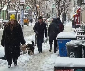 Schneechaos in New York: Wintersturm legt US-Nordosten lahm