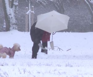 Winterwetter in Deutschland: Gekommen, um zu bleiben