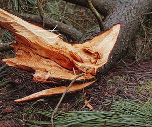 Sturm NILS: Todesopfer in Frankreich und Spanien