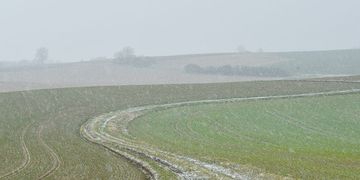 Von Niedersachsen über Sachsen-Anhalt bis in die Lausitz kann es am Montag Graupelschauer geben.
