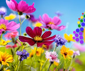 Die große Frühlingsprognose: Wie warm werden März, April und Mai?