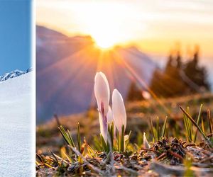 16-Tage-Wetter: Zum kalendarischen Frühlingsanfang - Kommt der Winter nochmal zurück?