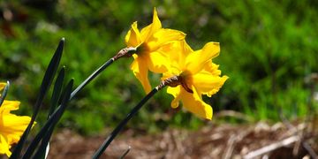 Tief zieht langsam ab - Das Wetter in 60 Sekunden