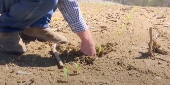 Irankrieg: UN warnt vor Ernteausfällen und Hunger in gefährdeten Ländern