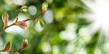 Am Karfreitag wird es oft freundlich.