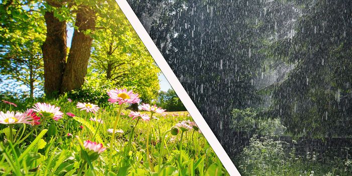 Wetter morgen am Montag: Wo die Woche kalt und regnerisch beginnt ...