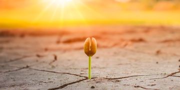 Sommerprognose: Heißer Dürresommer voraus?