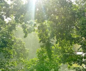 16-Tage-Wetter: Erst viel Regen - kommt danach Sommerwetter?