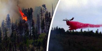 Waldbrand durch Wrack ausgelöst: Vier Tote nach Flugzeugabsturz in New Mexico