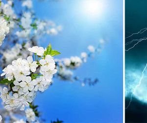 Wetter morgen am Montag: Sonniger Start, doch hier ziehen Schauer und Gewitter auf