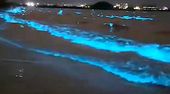 Magisches Leuchten in Japan: Küste strahlt plötzlich blau