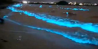 Magisches Leuchten in Japan: Küste strahlt plötzlich blau
