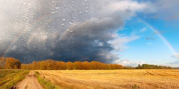 Am Samstag bleibt es heiß. Lokal drohen schwere Gewitter.