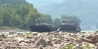Niedrigwasser! Ahr-Zufluss in den Rhein versiegt