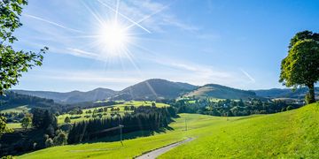 Im Schwarzwald wird am Mittwoch häufig die Sonne scheinen.