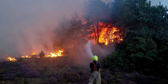 Hunderte Menschen fliehen vor Großbrand: Englische Grafschaft Suffolk in Flammen