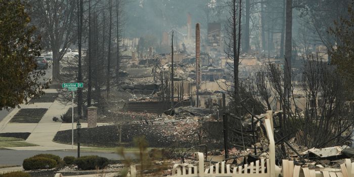 Klima Waldbrandnotstand in Washington: Tausende Menschen müssen Spokane verlassen