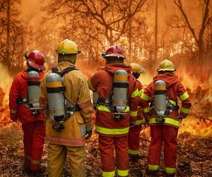 Was ist Feuerwetter – und warum nimmt die Waldbrandgefahr zu?