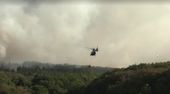 Großbrand in der Eifel: Flammen rücken auf Ortschaft zu