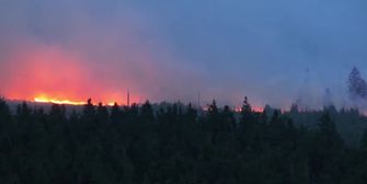 Nahe deutscher Grenze: Waldbrand in Naturschutzgebiet in Belgien